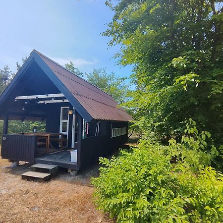 Tranum Klit Camping Og Hytteudlejning Brovst Exterior foto