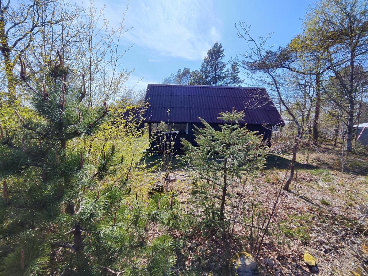 Tranum Klit Camping Og Hytteudlejning Brovst Exterior foto